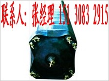 供应桥梁气囊内模